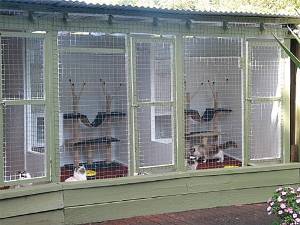 Cat enclosure