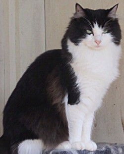Gretta