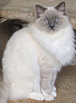 Luna