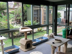 Catio