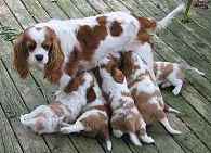 mealtime